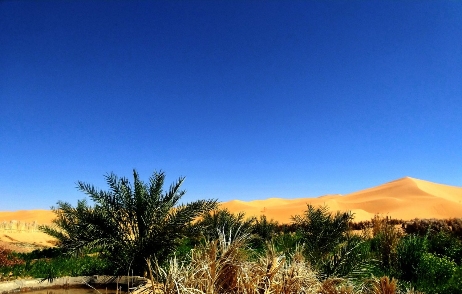 Самая сухая пустыня в африке. Египет пустыня сахара. Алжир сахара. Алжир пустыня сахара. Пустыня большой Западный эрг.